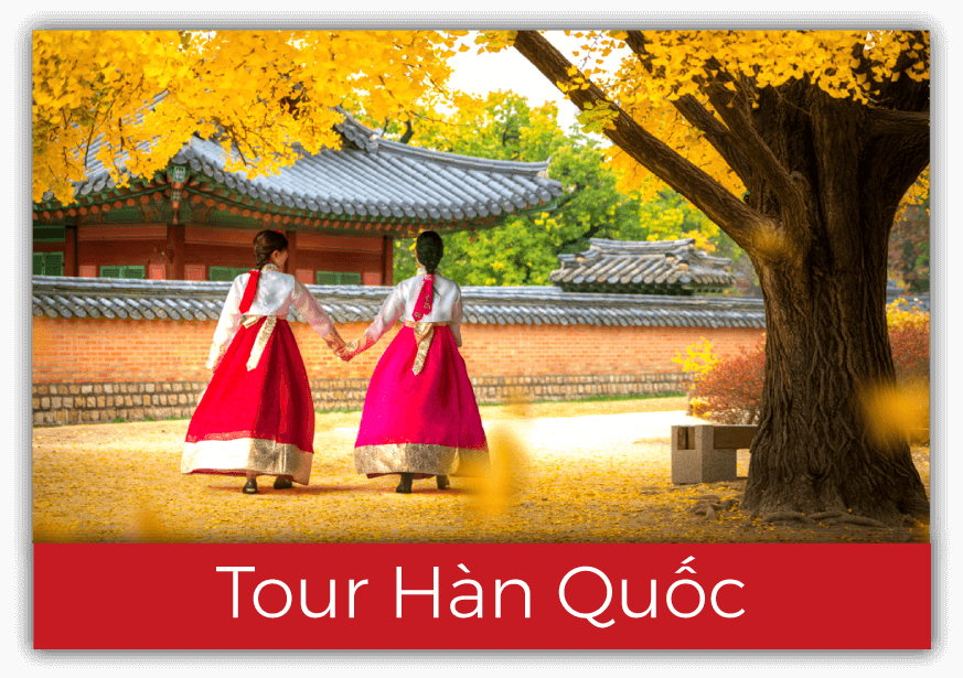 Tour Hàn Quốc