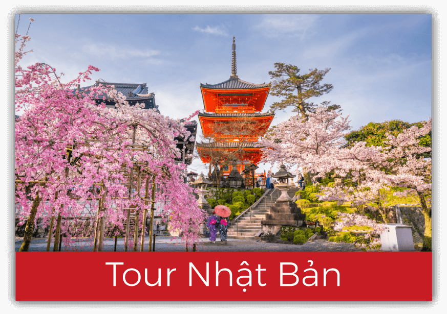 Tour Nhật Bản