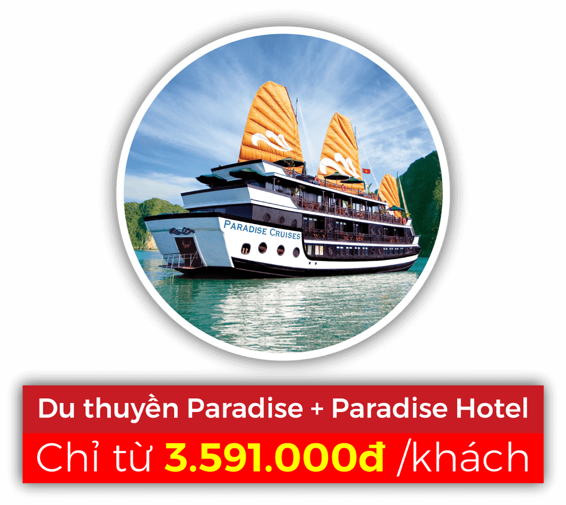 free easy 3n2d du thuyen paradise luxury